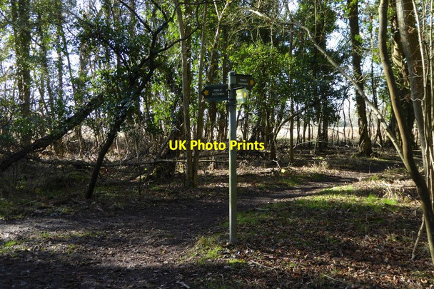 Photo 6"x4" Footpath junction in Roundwood Copse Aldermaston Soke c2015