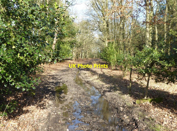 Photo 6"x4" Footpath beside Grim's Bank Padworth c2015