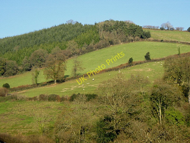 Photo 6"x4" Hillside above Raswell Farm Broomfield\/ST2232 c2008