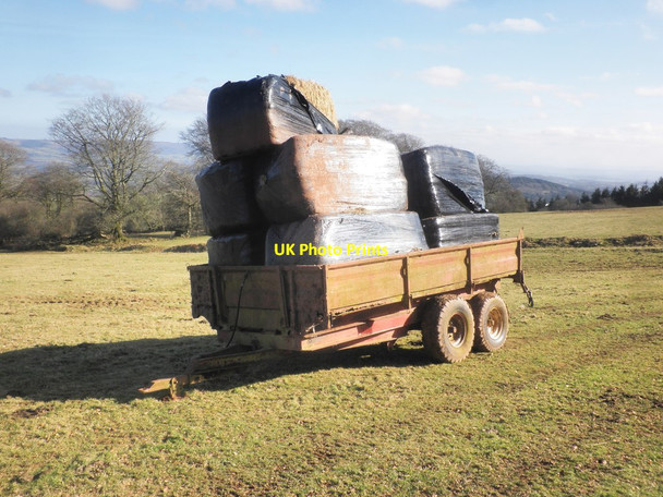 Photo 6"x4" Hay bales Ashbeer c2015