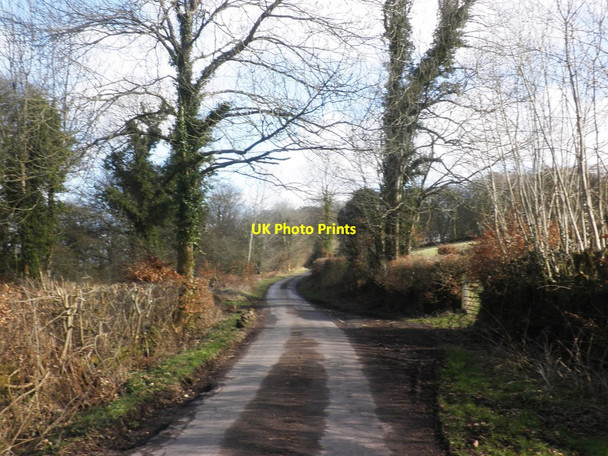 Photo 6"x4" Huish Cleeve Chipstable c2015