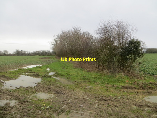 Photo 6"x4" Farmland near Walford Walford Heath c2015