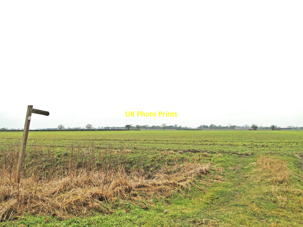 Photo 6"x4" Undefined footpath across a field Wood Green\/TM2091 c2015
