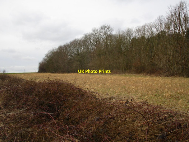 Photo 6"x4" Kneesall Wood Kneesall c2015