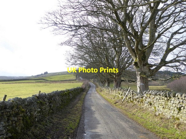 Photo 6"x4" The road to Ninebanks Youth Hostel Ouston\/NY7752 c2015