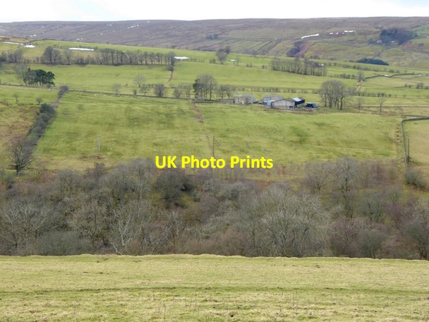 Photo 6"x4" View across West Allendale Limestone Brae c2015