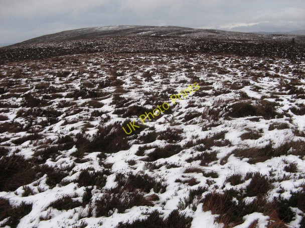 Photo 6"x4" Southern slopes of Foel Cwm Sian Llwyd. Trum y Sarn c2008