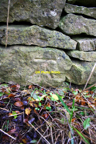 Photo 6"x4" Benchmark on A44 wall Church Enstone c2014