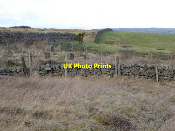 Photo 6"x4" Corner of field near Woolley Bridge Allendale Town c2015