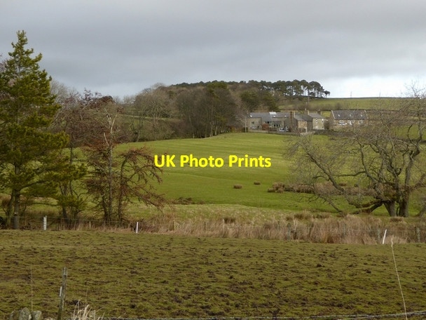 Photo 6"x4" Highfield Farm, Catton Catton\/NY8257 c2015