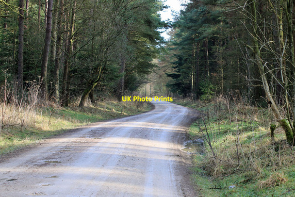 Photo 6"x4" Tabular Hills Walk Hackness\/SE9790 c2015