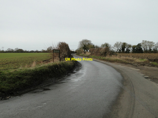 Photo 6"x4" The Rosery Mulbarton c2015