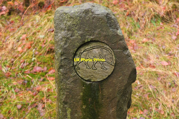 Photo 6"x4" Wild Boar waymark, Drummond Hill Kenmore\/NN7745 c2015