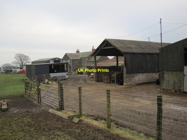 Photo 6"x4" Woodhead Farm Blenkinsopp Hall c2015