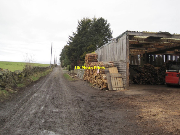 Photo 6"x4" Track to Gunnerton Gunnerton c2015