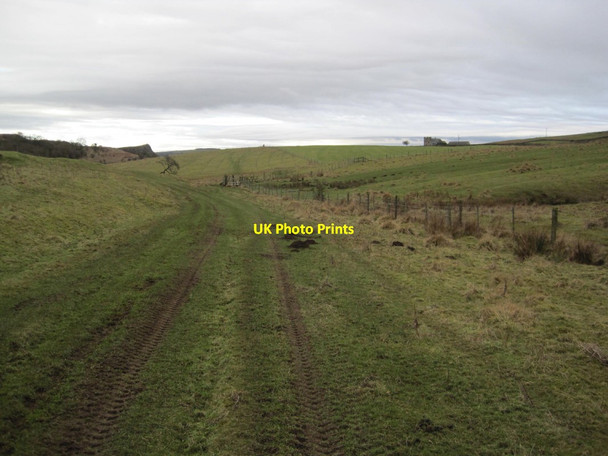 Photo 6"x4" Bridleway towards Gunnerton Great Swinburne c2015