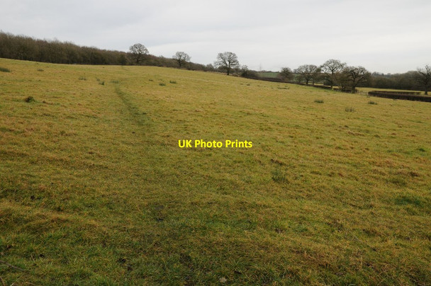 Photo 6"x4" The Wychavon Way Goosehill Green c2015