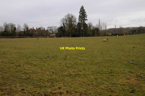 Photo 6"x4" Field beside Mere Hall Broughton Green c2015