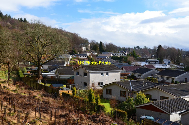 Photo 6"x4" Houses below the woodland, Callander Callander c2015