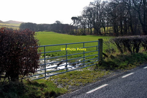Photo 6"x4" Fields and woods at Milton, west Bute Straad c2015