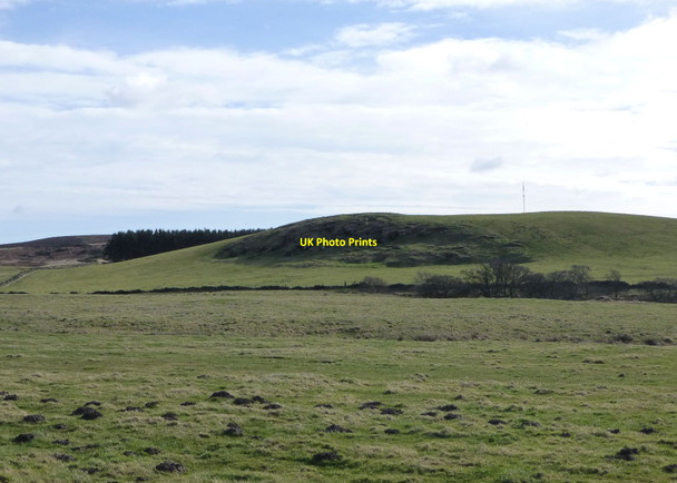 Photo 6"x4" Hay Hill Greendykes\/NU0628 c2015