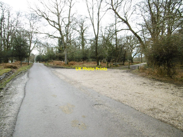 Photo 6"x4" Denny Wood, forestry road junction Balmerlawn c2015
