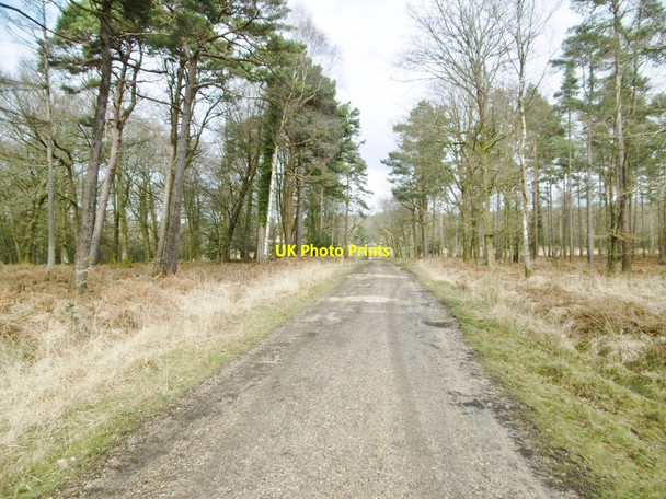 Photo 6"x4" Denny Lodge Inclosure, NCN2 Balmerlawn c2015