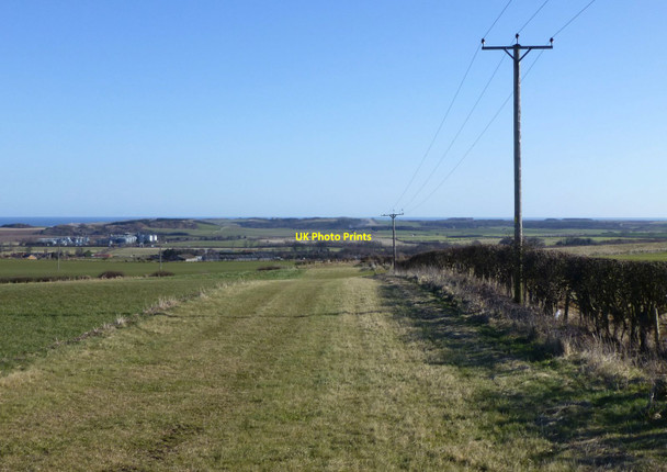 Photo 6"x4" Electricity poles follow the hedge Belford\/NU1033 c2015