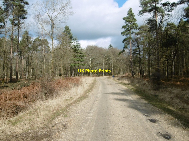 Photo 6"x4" Parkhill Inclosure, cycle route Balmerlawn c2015