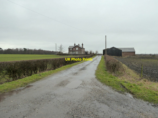 Photo 6"x4" Path to Brown Birch Farm from the Coach Road Rainford c2015