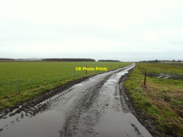 Photo 6"x4" Farm track from the Coach Road to Mossborough Hall Rainford c2015