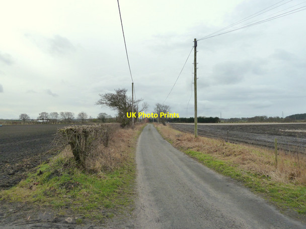 Photo 6"x4" Sadler Lane, Windle Denton's Green c2015