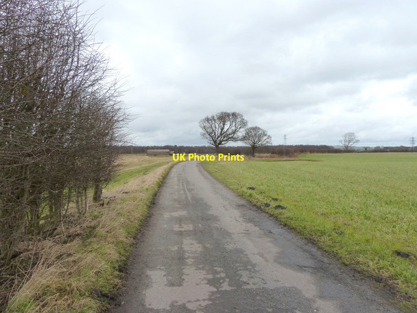 Photo 6"x4" Track to Moss Farm, Windle St Helens\/SJ5095 c2015