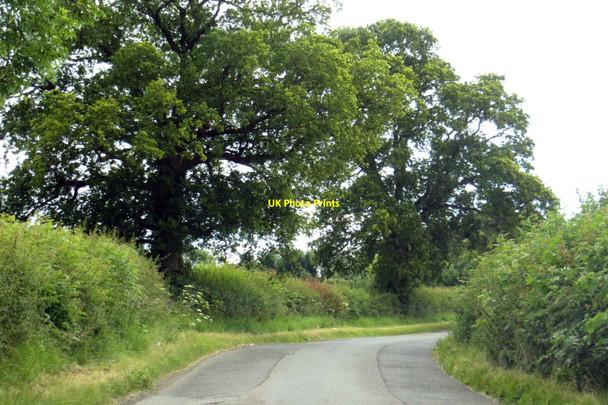 Photo 6"x4" Rural road round Claydon Park Middle Claydon c2014