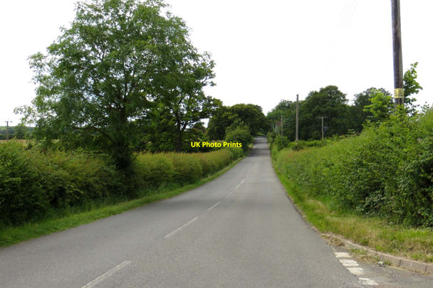 Photo 6"x4" Rural road to Marsh Gibbon Middle Claydon c2014