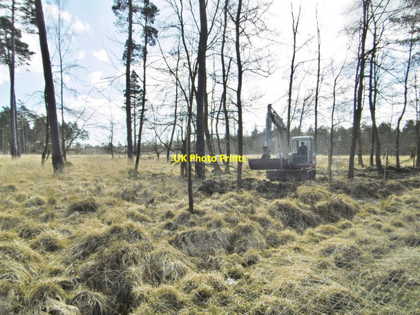 Photo 6"x4" Denny Inclosure, forestry work Clayhill\/SU3007 c2015