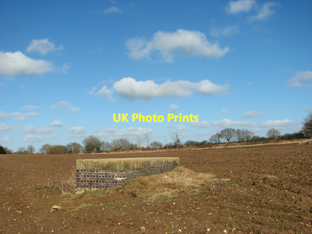 Photo 6"x4" Field in Little Hautbois Little Hautbois c2015