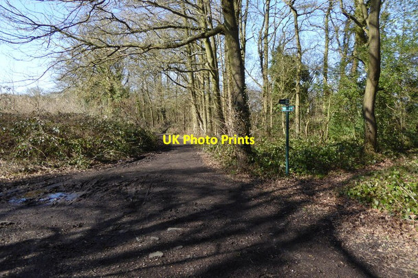 Photo 6"x4" Byways junction Arborfield Garrison c2015