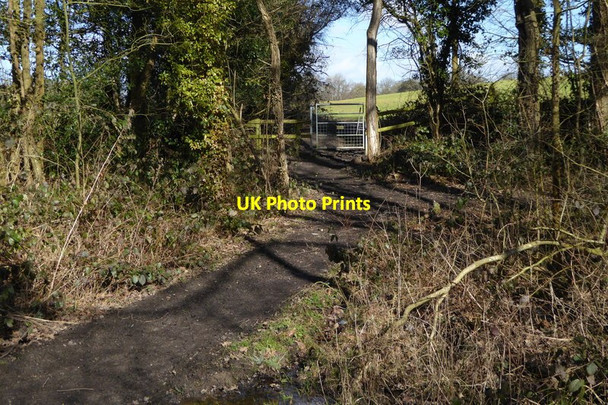 Photo 6"x4" Footpath goes north out of woodland Arborfield Garrison c2015