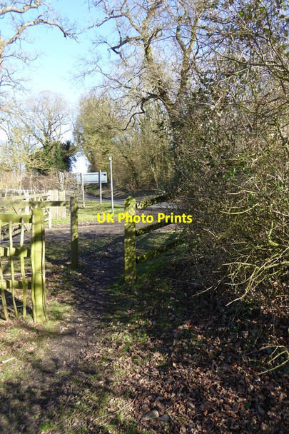 Photo 6"x4" Footpath reaches Swallowfield Road from the west Farley Hill\/SU7564 c2015
