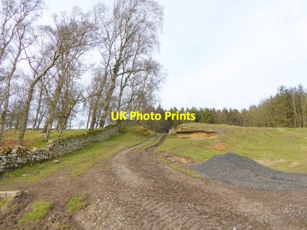 Photo 6"x4" Track near East Shaftoe Hall Bolam West Houses c2015