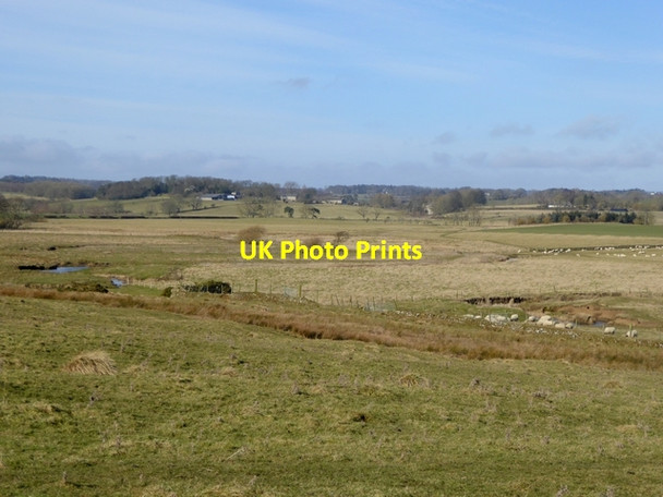 Photo 6"x4" Floodplain of the River Wansbeck Middleton\/NZ0685 c2015