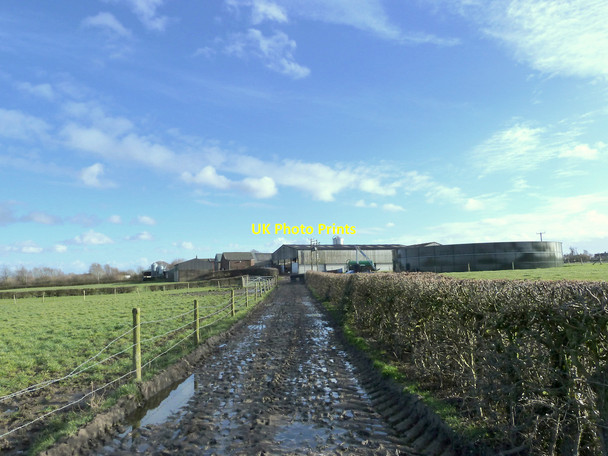 Photo 6"x4" Footpath to Orrell House Farm from Dean Wood Orrell\/SD5305 c2015