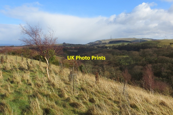 Photo 6"x4" Woodhall Dean Spott\/NT6775 c2015