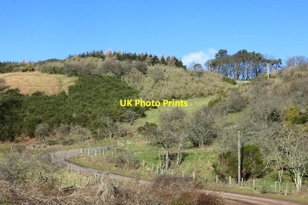 Photo 6"x4" Road, The Brunt Spott\/NT6775 c2015