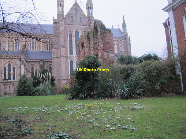 Photo 6"x4" Snowdrops outside Worcester cathedral Worcester c2015