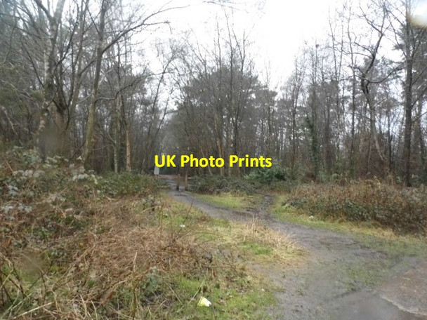 Photo 6"x4" Entrance to Ludshott Common Headley Down c2015