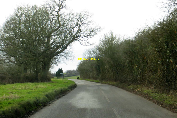 Photo 6"x4" The road to Brill Brill\/SP6513 c2015