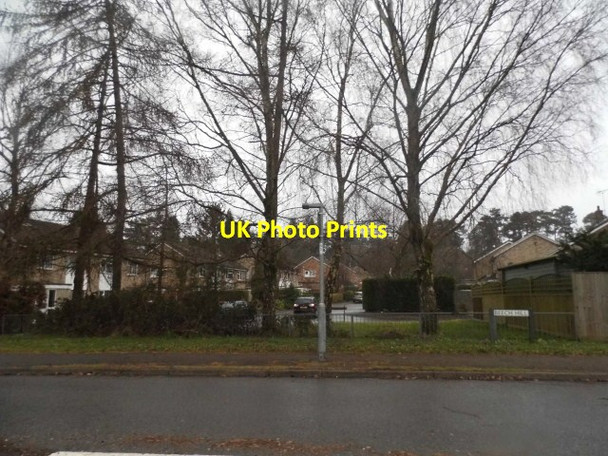 Photo 6"x4" Windmill Drive from Beech Hill, Headley Down Headley Down c2015