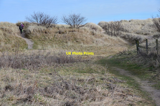 Photo 6"x4" Paths through the dunes, Druridge Widdrington c2015